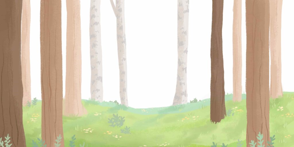 calm forest