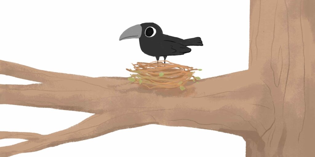 crow in a tree